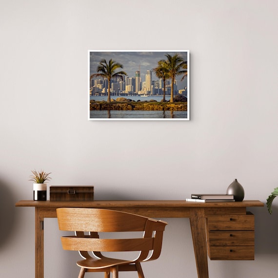 Miami Through the Palms