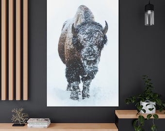 American Buffalo in Snow, Winter Bison Canvas Ready To Hang 1.25" Deep No Y-227