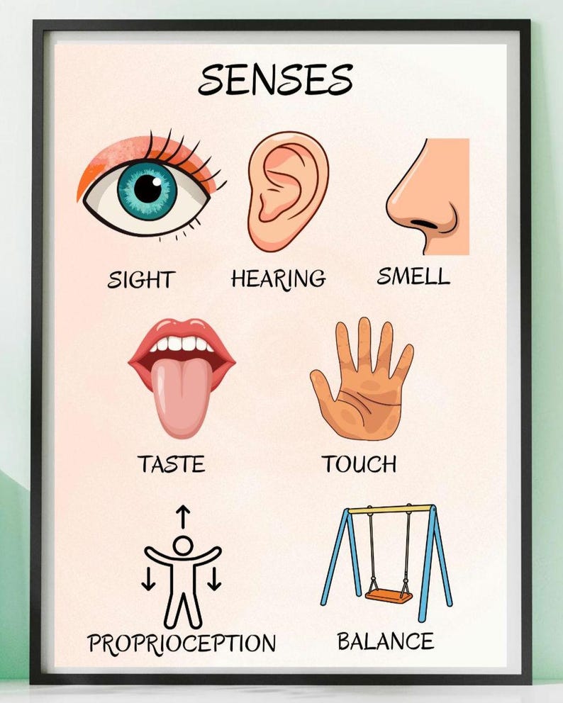 Sensory Poster for Kids | 7 Senses Chart | Visual Sensory System ...