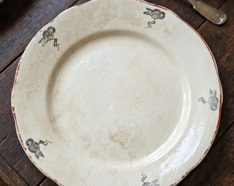 PLATOS DE COLECCIÓN italianos
