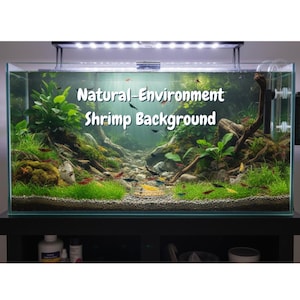 Könnte beinhalten: Ein rechteckiges Aquarium mit einem natürlichen Garnelen-Hintergrund. Das Becken zeigt üppige grüne Pflanzen, Steine und Kies und schafft eine lebendige Unterwasserszene. Der Text "Natural-Environment Shrimp Background" ist zu sehen.