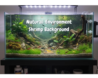 Natürlicher Aquascape Hintergrund | Shrimp Tank Decor (Digitaler Download) (SALE - 75% SALE)