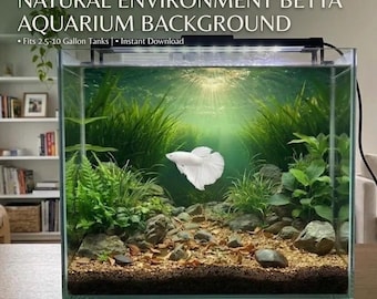 Fondo de pantalla de acuario con betta natural / Hábitat de arrozales para betta salvaje (Descarga digital) (OFERTA - 95% DE DESCUENTO)