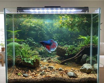 Fond de réservoir naturel Betta | Aquascape apaisant (téléchargement numérique) (VENTE - 75 % DE RÉDUCTION)