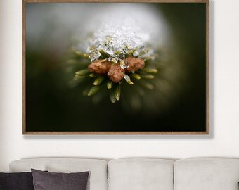 Frozen Ember – Ice and Pine Macro Wall Art, Instant Download, Moody Nature Print