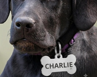 Placa de identificación personalizada con forma de hueso para mascotas, con nombre grabado / Placa de identificación personalizada para perros