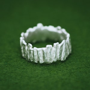 May include: A silver ring with a textured, organic design that resembles a row of vertical lines. The ring is on a green surface.