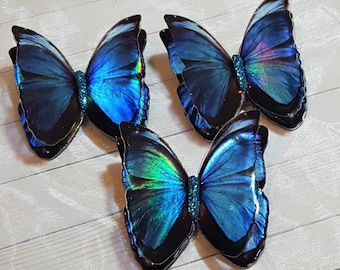 3D-Schmetterling aus irisierendem blauem Morphofalter aus Kunstharz, handgefertigte irische Dekoration, Magnetbrosche mit Kleberückseite