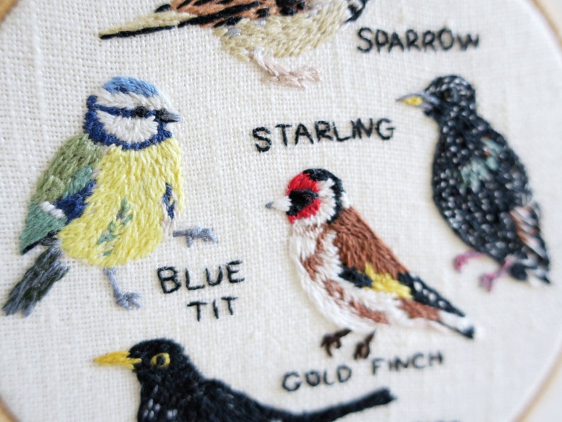 British Garden Birds Embroidery Hoop Art 4 inches diameter Etsy