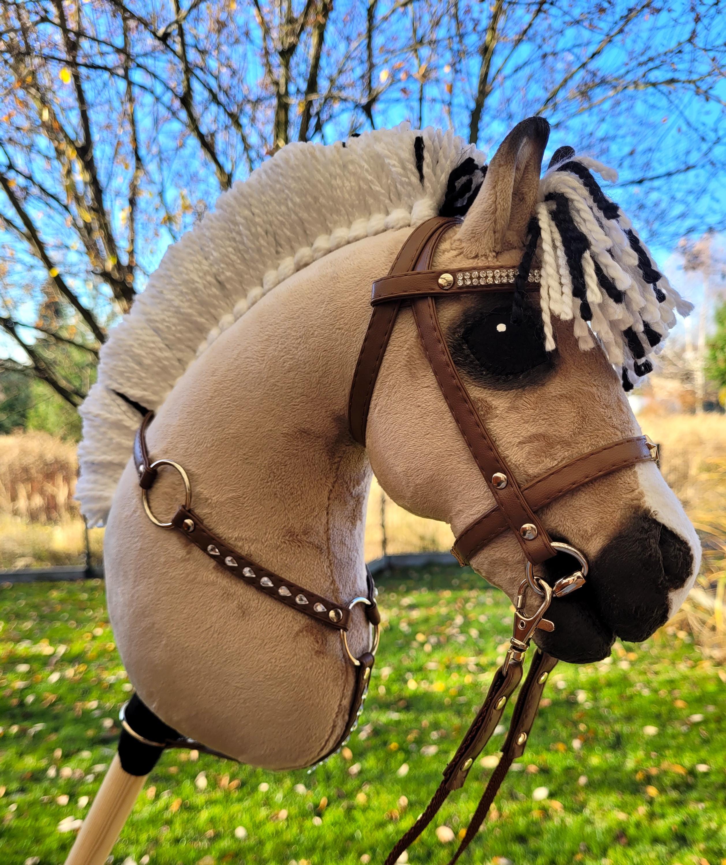 Hobby horse fjord bridle - België