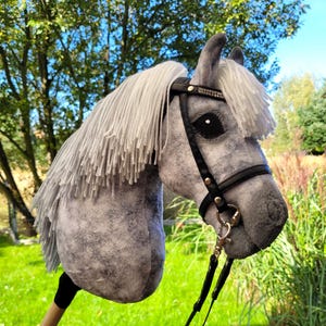 Op de afbeelding: Een grijs stokpaard met een witte manen en staart. Het paard heeft een zwarte teugel met zilveren accenten en een houten stok. De achtergrond is een groen gazon en bomen.