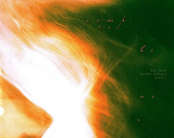 Big Thief - Incomprehensible Poster