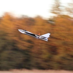 Peut inclure: Un mod&egrave;le d'avion blanc et noir en vol, avec un arri&egrave;re-plan flou de feuillage d'automne. L'avion a un design &eacute;pur&eacute; avec une bande noire le long du fuselage et des ailes blanches. L'h&eacute;lice est visible.