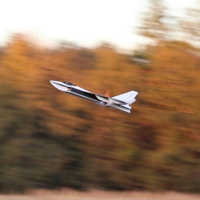 Peut inclure: Un mod&egrave;le d'avion blanc et noir en vol, avec un arri&egrave;re-plan flou de feuillage d'automne. L'avion a un design &eacute;pur&eacute; avec une bande noire le long du fuselage et des ailes blanches. L'h&eacute;lice est visible.