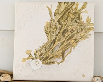 Seaweed with barnacle canvas print