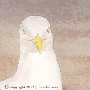 Herring Seagull Print
