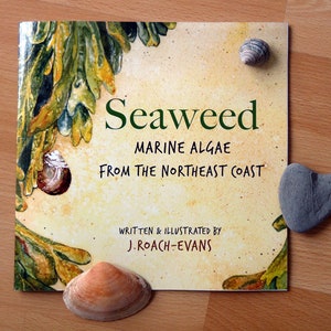 Signed Book of Seaweed: Marine Algae from the Northeast Coast image 2