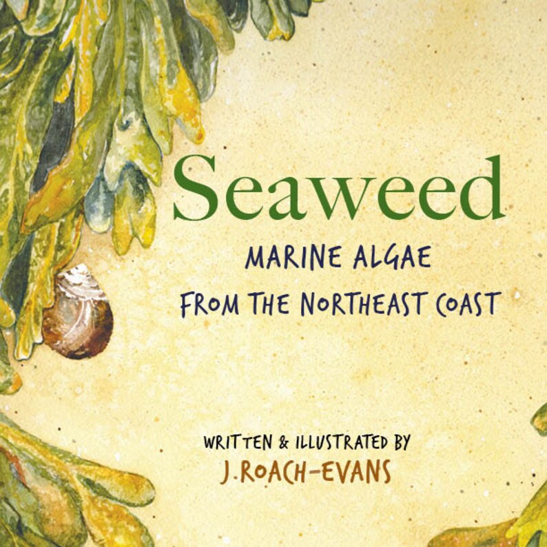 Signed Book of Seaweed: Marine Algae from the Northeast Coast image 1