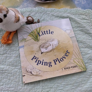 Signed Little Piping Plover children's book image 2