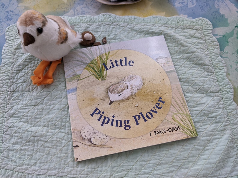 Signed Little Piping Plover children's book image 2