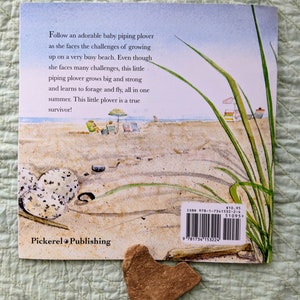 Signed Little Piping Plover children's book image 4