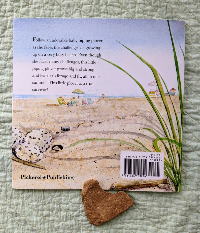 Signed Little Piping Plover children's book image 4