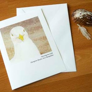 May include: A greeting card featuring a close-up watercolor painting of a Herring Gull with a yellow beak. The card has the text "Herring Sea Gull, Hampton Beach, New Hampshire" printed below the image.