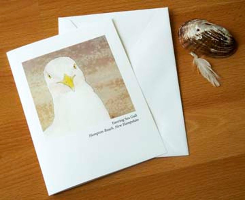 May include: A greeting card featuring a close-up watercolor painting of a Herring Gull with a yellow beak. The card has the text "Herring Sea Gull, Hampton Beach, New Hampshire" printed below the image.