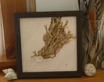 Seaweed & Barnacle Painting Framed