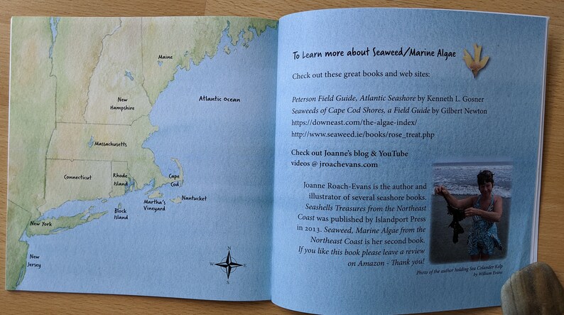 Signed Book of Seaweed: Marine Algae from the Northeast Coast image 6