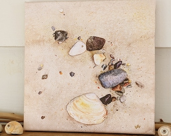 Seashells & stones print on canvas