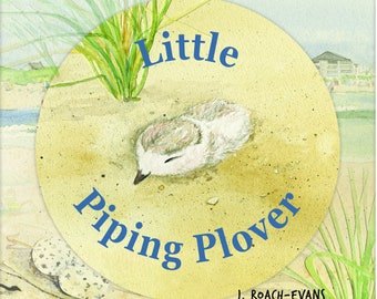 Könnte beinhalten: Eine Aquarell-Illustration eines kleinen, weißen Vogels mit schwarzen Augen, der an einem Sandstrand schläft. Der Vogel ist von grünem Gras umgeben und der Text "Little Piping Plover" ist in blauen Buchstaben auf einem gelben Kreis geschrieben. Der Name des Künstlers, "J. ROACH-EVANS", ist in kleineren blauen Buchstaben am unteren Rand des Bildes geschrieben.