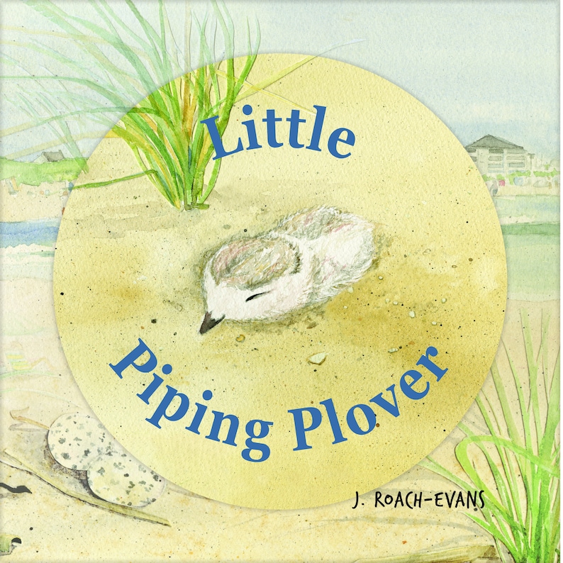 Signed Little Piping Plover children's book image 1