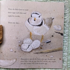 Signed Little Piping Plover children's book image 3