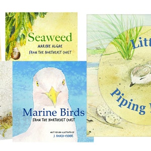 Signed Little Piping Plover children's book image 6