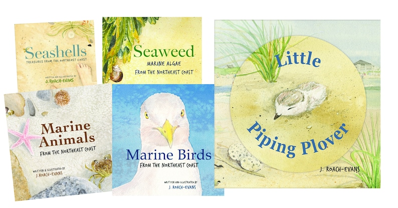 Signed Little Piping Plover children's book image 6