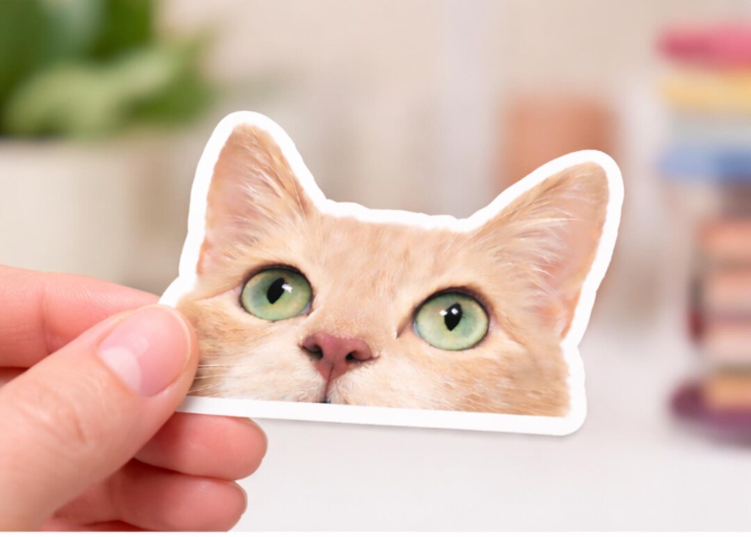 Orange Tabby Cat Peeking Sticker - Buff Vinyl Decal for Therapist ...