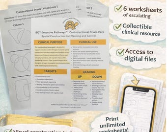 Constructional Praxis Toolkit for Handwriting, Visuomotor Skills and Occupational Therapy Treatments
