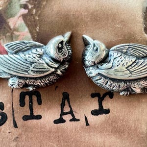 Könnte beinhalten: Zwei silberfarbene Vogelornamente, die einander zugewandt sind. Die Vögel haben detaillierte Flügel und Schwanzfedern. Das Wort "STAR" ist in schwarzen Blockbuchstaben darunter gedruckt. Der Hintergrund ist eine Mischung aus Braun und Grün.