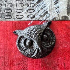 Könnte beinhalten: Eine schwarze Metall-Eulenfigur mit detaillierten Merkmalen, darunter eine strukturierte Oberfläche und große, runde Augen. Die Eule ist auf einem roten Hintergrund montiert.