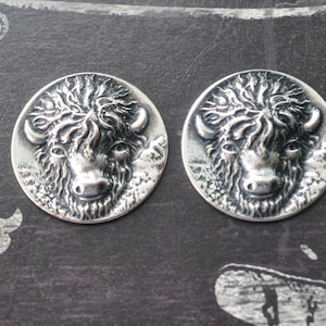 Brass Buffalo Medallions, Sterling Silver Finish, TWO