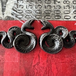 May include: Two black metal snake sculptures, each with a coiled body and a raised head. The snakes are facing each other, creating a sense of confrontation.