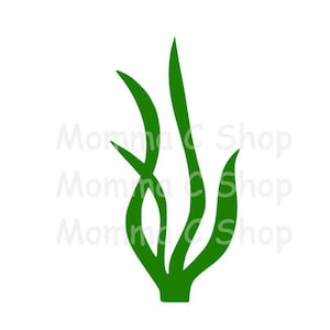 Algues SVG plante océan mer chalet cabine plage yard signe poisson de bienvenue cadeau varech JPEG fichier en téléchargement numérique instantané découpable