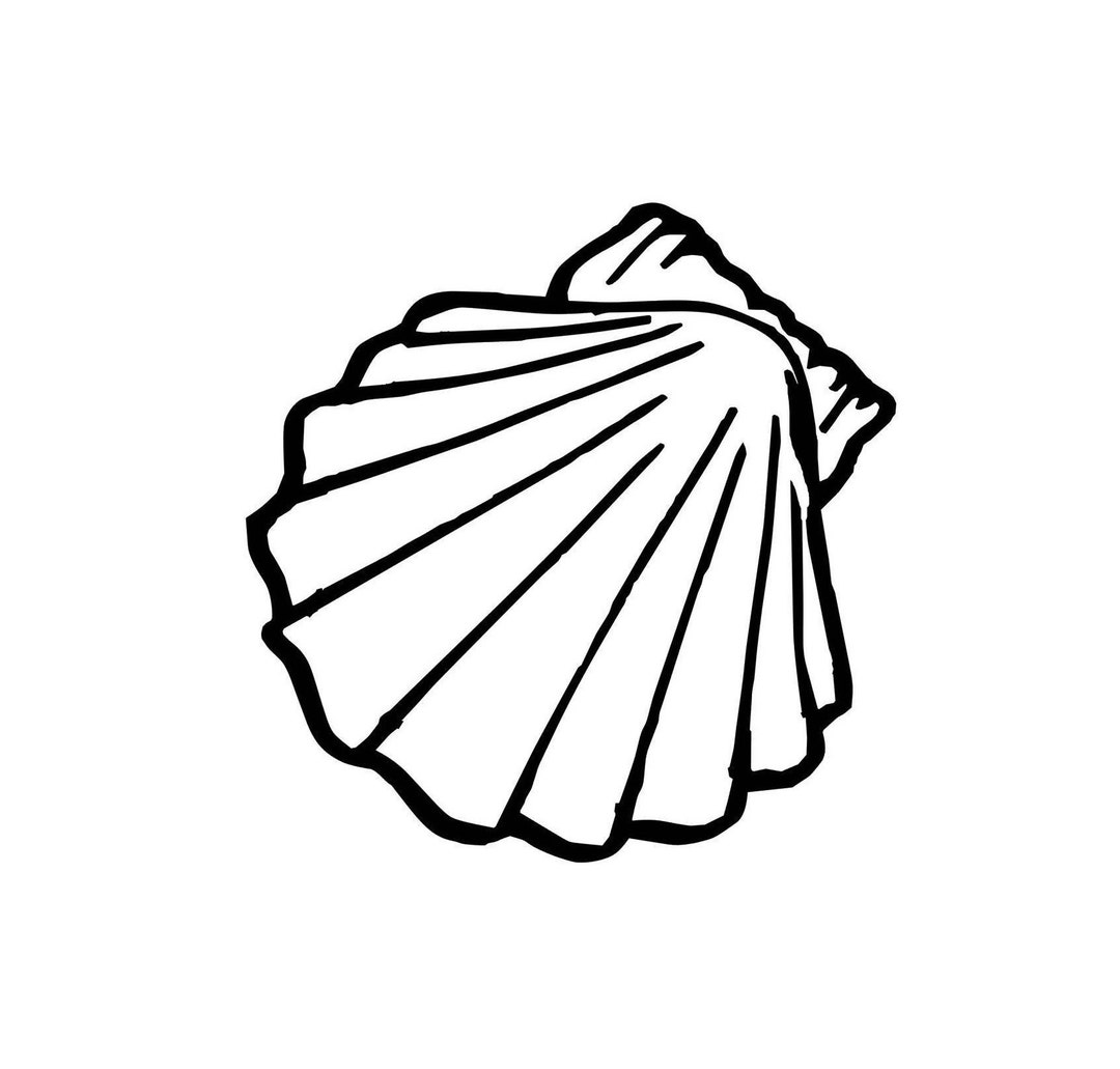 Seashell Instant SVG Digital Download File Cuttable - Etsy