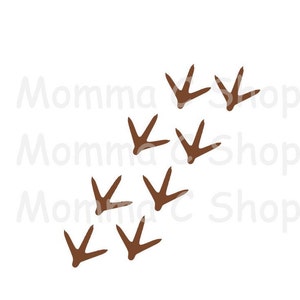 May include: A set of brown bird footprints on a white background. The footprints are arranged in a diagonal line, with the toes pointing in the same direction.