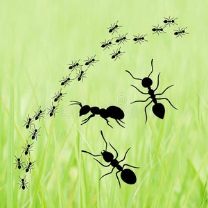 Fourmis SVG pique-nique herbe jardin cour plantes insecte été famille cabane chalet arrière-cour nourriture pour animaux parasite colonie Jpeg téléchargement numérique instantané