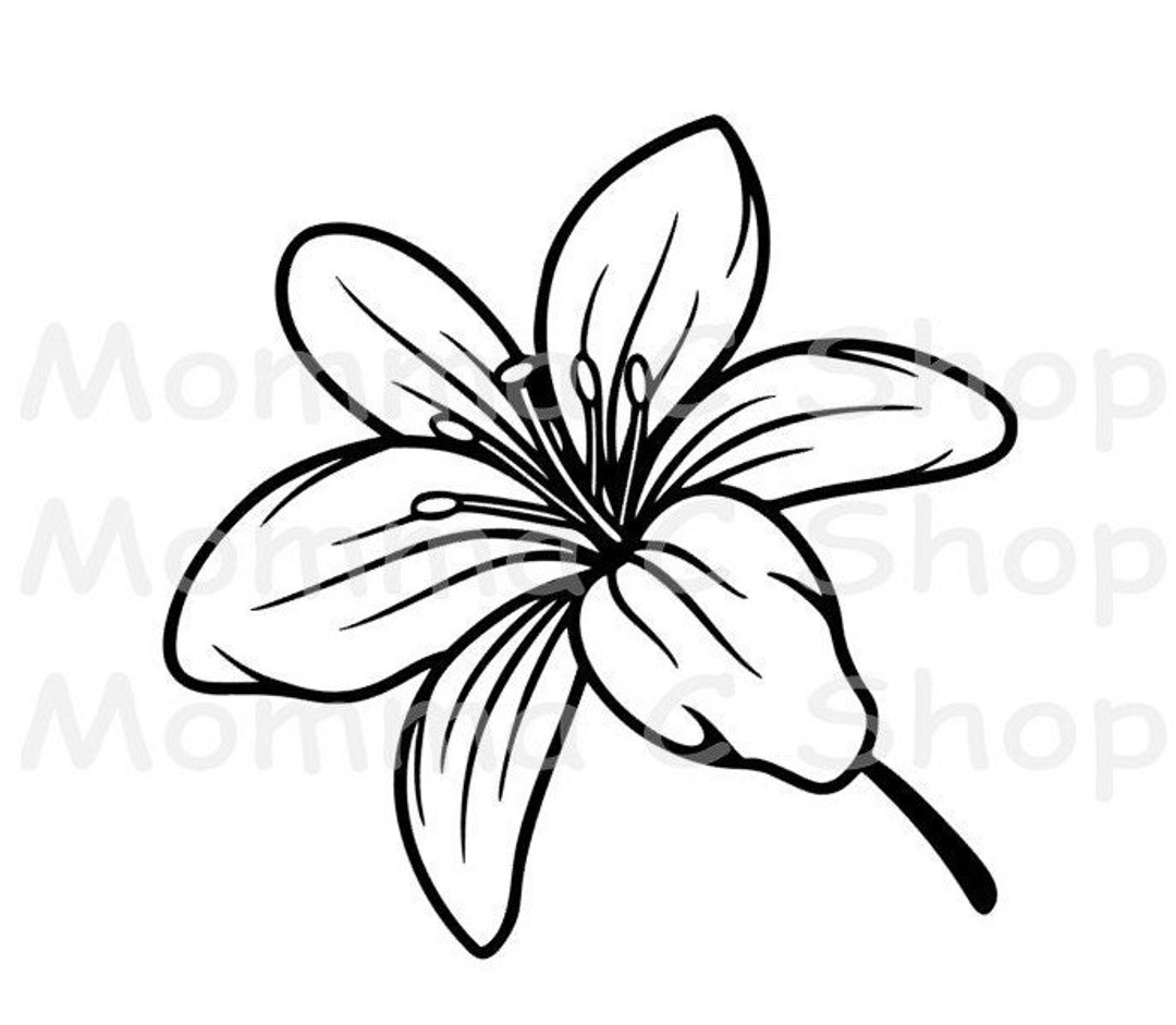 Easter Lily Lilly SVG and JPEG Instant SVG Digital Download - Etsy