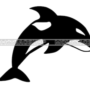May include: A black and white illustration of a killer whale, or orca, leaping out of the water. The whale's body is black with a white patch near its eye and a white underbelly. The image includes the text "MOMMACS SHOP".