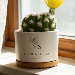 May include: A small, round cactus with a bright yellow flower blooms from a white ceramic pot. The pot has a wooden base and features the initials "D" and "S" with the names "DAVID & STELLA" and the date "26th July 2025".