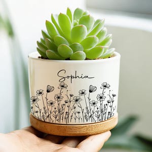 Può includere: Un vaso di ceramica bianco con una pianta succulenta verde. Il vaso presenta un disegno floreale nero e il nome "Sophia". Poggia su un piattino rotondo di legno. Una mano tiene il vaso.